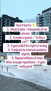 Your brain inspired a machine that’s now smarter than you in 10 things