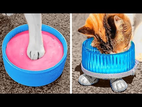 ペットのためのかわいくて便利な工作