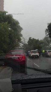 21K views · 29 reactions | A private-hire vehicle driver said the entire trunk of the tree hit the car, but fortunately, he and his passengers were not injured. | Mothership | Facebook