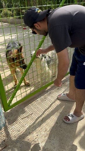 18K views · 791 reactions | A perfect picnic day in Quetta! From a...