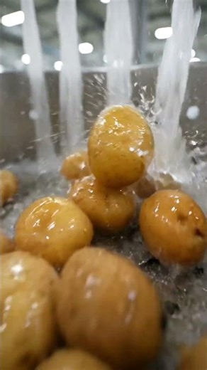 Inside a Potato Chips Factory – Full Process Revealed 🍟