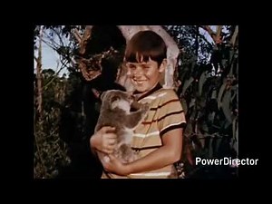 Skippy The Bush Kangaroo Theme Song