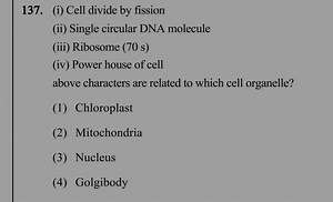 (i) Cell divide by fission(ii) Single circular DNA molecule(i... | Filo