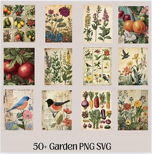 Vintage Garden Prints SVG and PNG Bundle Antique Seed Packet Replicas Herb Illustration Vegetable Art POD Designs for T Shirts Mugs Images - Etsy
