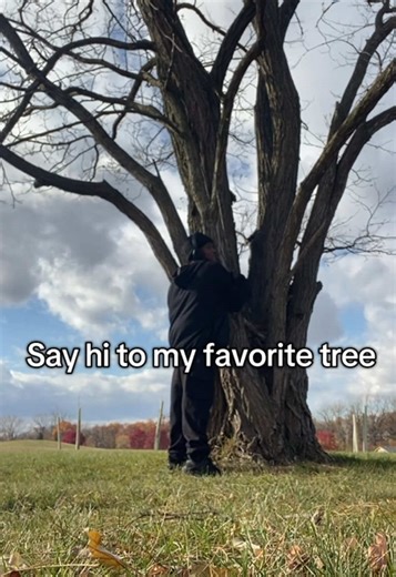 I love my tree #fyp #nature #dance #treehugger