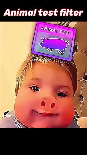 Viral Animal Filter Challenge 🔥