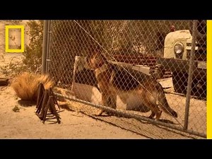 Extended Trailer | Chasing UFOs