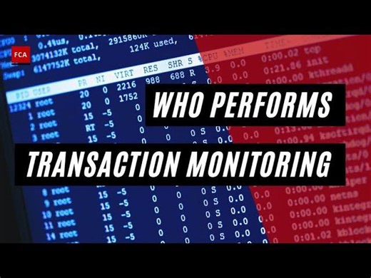 Guardians of Financial Integrity: Who s Behind Transaction Monitoring? | Financial Crime Academy