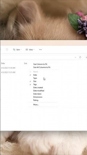 how to sort files by type