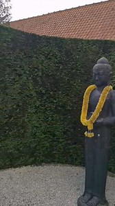 Beginilah hasil kerja Tukang Kebun bule Belgia. Kira kira berapa ya ngabisin ongkos Tukang Kebun di Belgia? Simak videonya sampai akhir 😍 | Pak Lurah Di Belgia