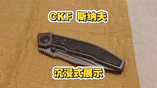 沉浸式展示CKF 斯纳夫