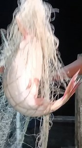 Pangasius, the catfish of Southeast Asia. #fish #fishingvideos #Pangasius #catfish #bayofbangle | Ehsanul Haque Shaon - Traveler