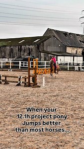 When your project pony jumps like this 🙌. #horse #equestrian #showjumping #horselover #pony | Jumping with Ivy