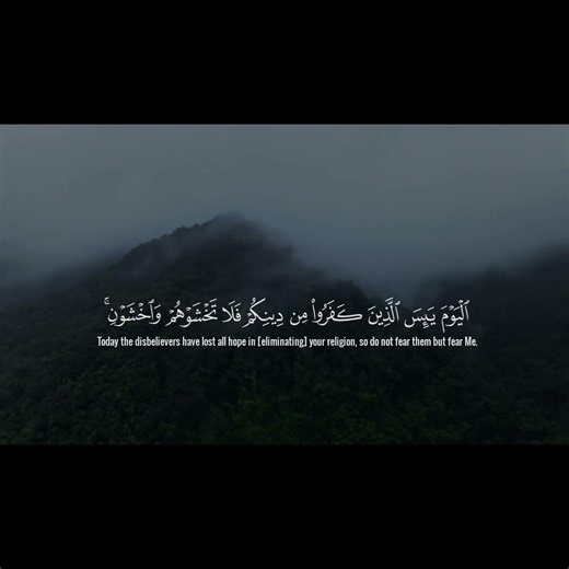 سورة المائدة ( ٣ ) #قرآن #quran #ماهر_المعيقلي #استغفر_الله
