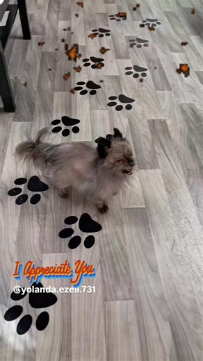 I am so thankful for my loyal, wonderful client @yolanda.ezell.731 . I love Mr. Simba. Thank you for allowing me to cater to Simba so many years . He definitely loves his auntie and uncle. Simba loves his Spa days. Thank you for all the conversations and laughs we have when you come. I really enjoy my clients . You all are definitely family to me . See you all in 2026 珞珞珞. | asmallworldomg | Facebook