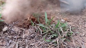 The Tallest Handmade Water Slide Villa With a Hidden Underground Pool Paradise