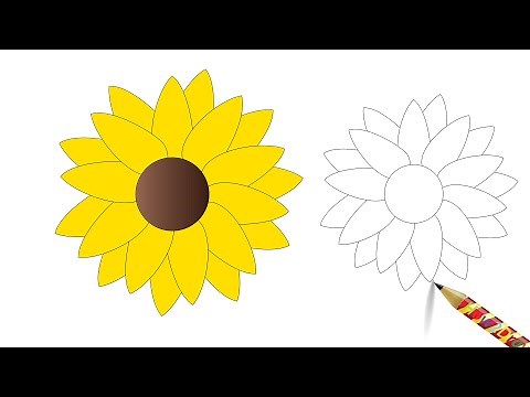 How to Draw a Daisy Yellow Flower - Easy Flower Drawing & Coloring