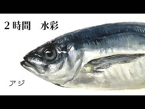 #64 ライブドローイング 魚 リアル 水彩 drawing