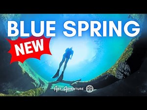 What's New at Blue Spring (and Why You'll Love It!)