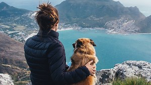 Amazonの次の一手は、ドッグフード