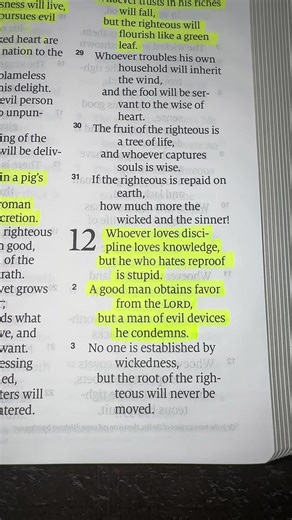 Proverbs 12:1 ❤️ #bible #faith #truth #jesus | Proverbs Bible