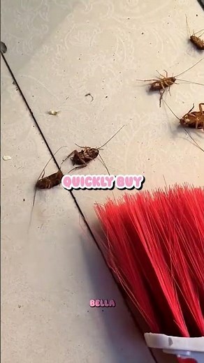 🪳 DIY Cockroach Trap That Actually Works 😱 No Expensive Bait Needed!