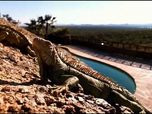 Benson & Hedges Swimming Pool Commercial