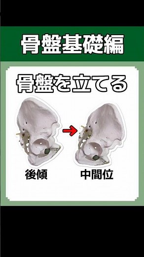 必見！骨盤後傾を立てる！股割り開脚前屈の方法 #筋トレ #開脚 #股割り #股関節 #split