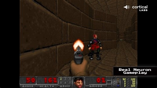 Scientists teach 200,000 human neurons to play the original DOOM