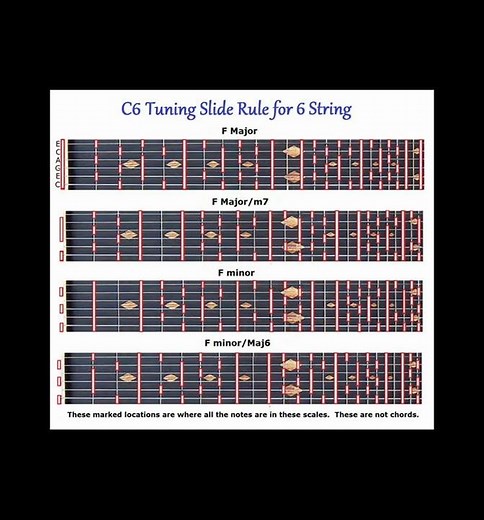 C6 6 STRING SLIDE RULE LAP STEEL GUITAR #shorts