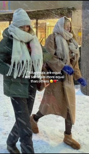 why we doing PE in tiny ass skirts in MINUS TWO DEGREES WEATHER 😤❤️ #stjoes #relatable #fyp #animalfarm #PE