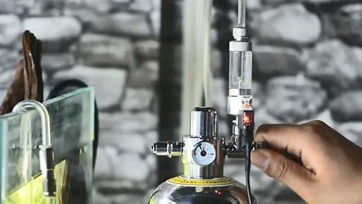 6b36f71a7f98466ca320f9590976544f