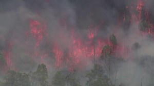 Australia tells thousands to leave homes as bushfire threatens Perth