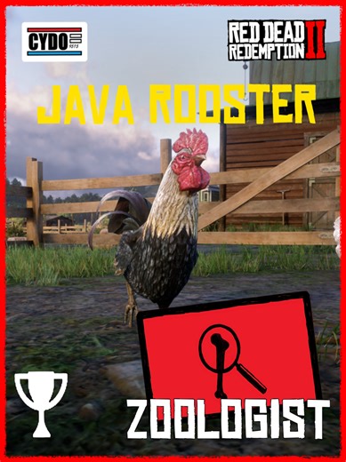 Exploring the Java Rooster: A Unique Achievement in Zoology
