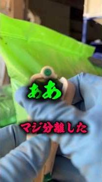 あぁーマジ分離した#shorts #農業 #佐渡 #農家 #米作り #仕事 #作業 #5月 #GW #田舎 #破壊 #壊れた #すかっと #お米 #コメ #米 #種まき #故障 #復活 #改善
