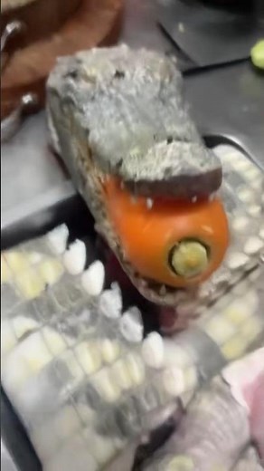 Chef Prepares Crocodile – Cutting & Prepping for Cooking 👀