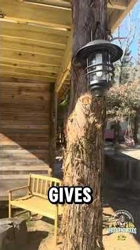 Make Your Community Bath Stand Out! #outdoors #camping #diy #glampinglife