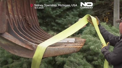 White House Christmas tree: Michigan fir wins national contest