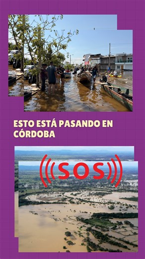 Fundación Jacarandas | 🚨Córdoba nos necesita 🚨 Las inundaciones han dejado a muchas familias enfrentando pérdidas, incertidumbre y días difíciles. Esto es lo... | Instagram