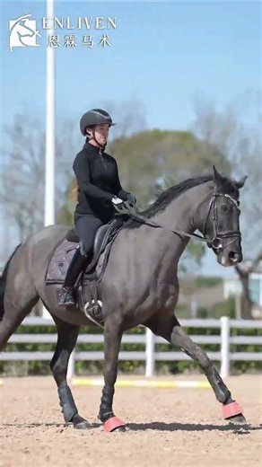 Enlin Equestrian Coach s daily Enlin Equestrian Dance Course is open Welcome to make an
