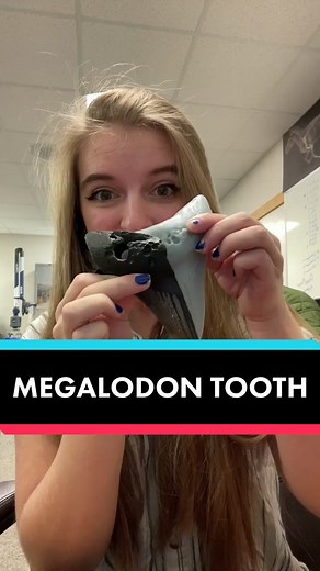 3D Scanning and Modeling Megalodon Tooth Process
