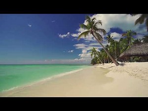 Reggae Summer Background Music For Videos
