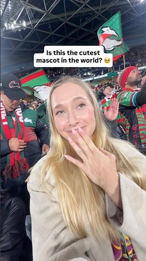 Cutest mascot in the world? Sydney Rabbitohs is a contender 🥹❤️