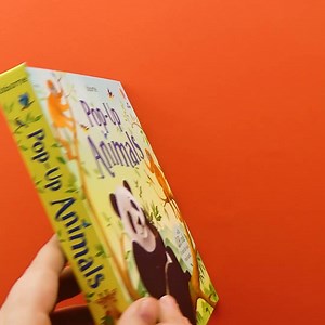 Immerse yourself in five different animal scenes from all around the world in this gorgeous pop-up book 🐘 | Usborne Publishing