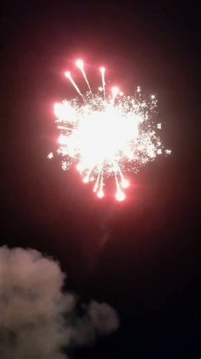 #shellcracker #music #fireworks #newyearcelebration #crackers #skyshotcrackers #shortsfeed #skyshot