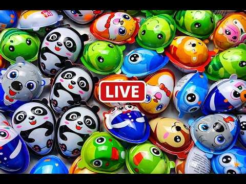 Opening Joy Eggs | Kinder Joy | Cute Suprise Toy Reveal 😍 | ASMR Video