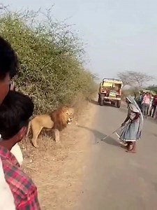 356K views · 1.4K reactions | Women saved her life #Trending | Binge | Facebook