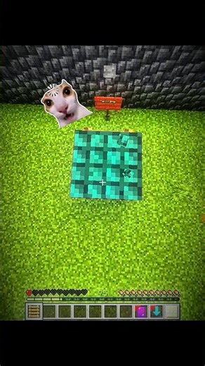 Trying To do Minecraft's All MLGs 💥 !!