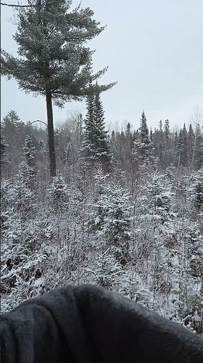 Same view one day later. more snow. #northernseclusion #minnesota #snow #deerhunting