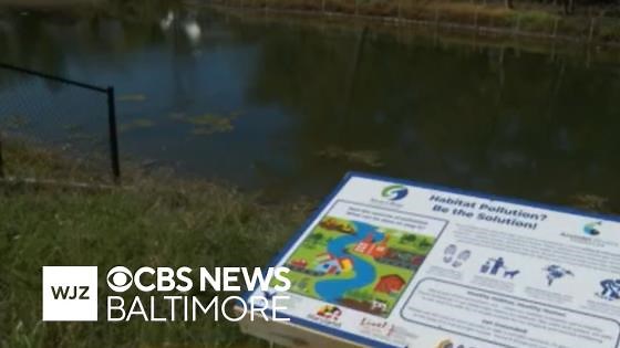 Maryland's Lake Marion reopens into thriving green space after years-long effort